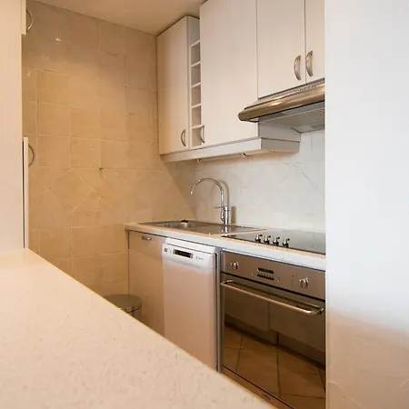 아파트 De Luxe A 500m Des Pistes, Balcon, Wi-fi, Animaux Acceptes - Fr-1-449-47 *