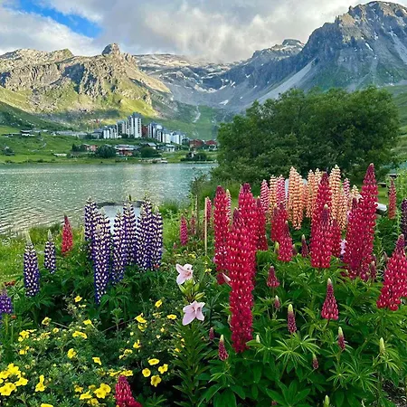 De Luxe A 500m Des Pistes, Balcon, Wi-fi, Animaux Acceptes - Fr-1-449-47 아파트 *